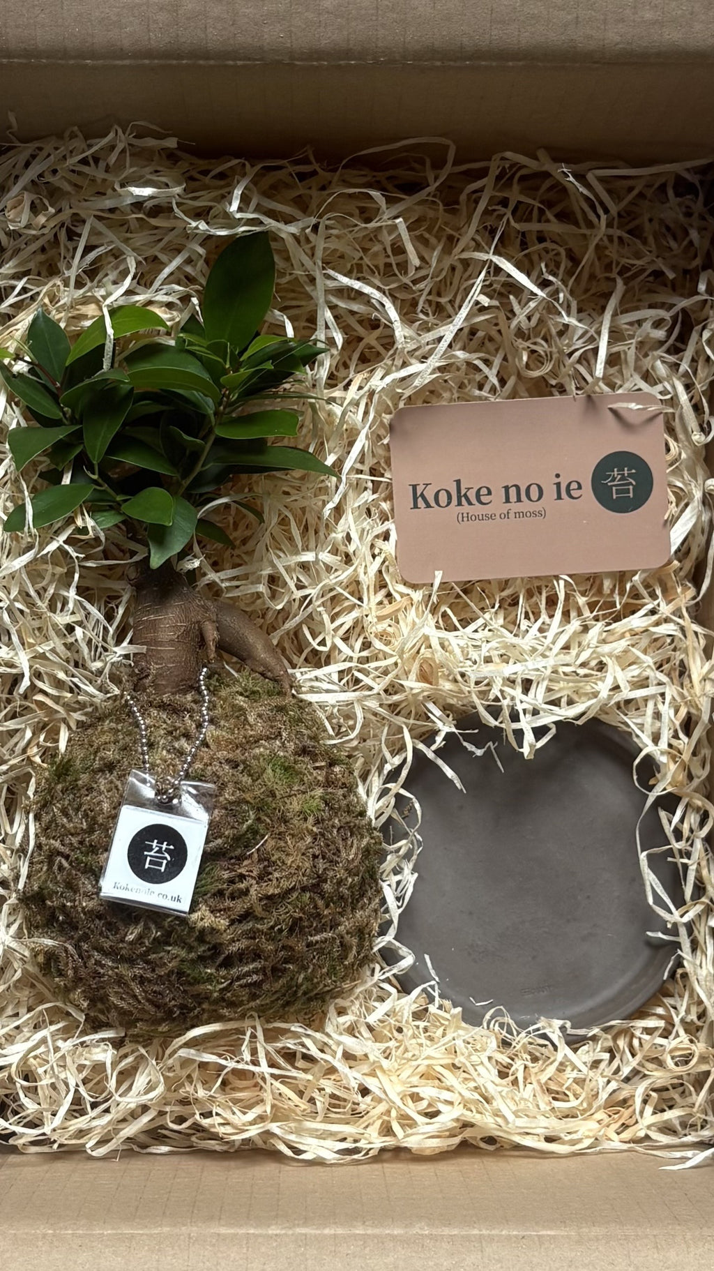 Koke no ie #0020
