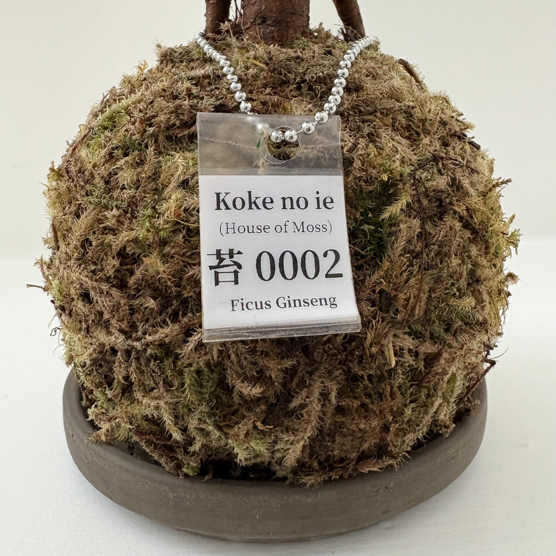 Koke no ie #0002
