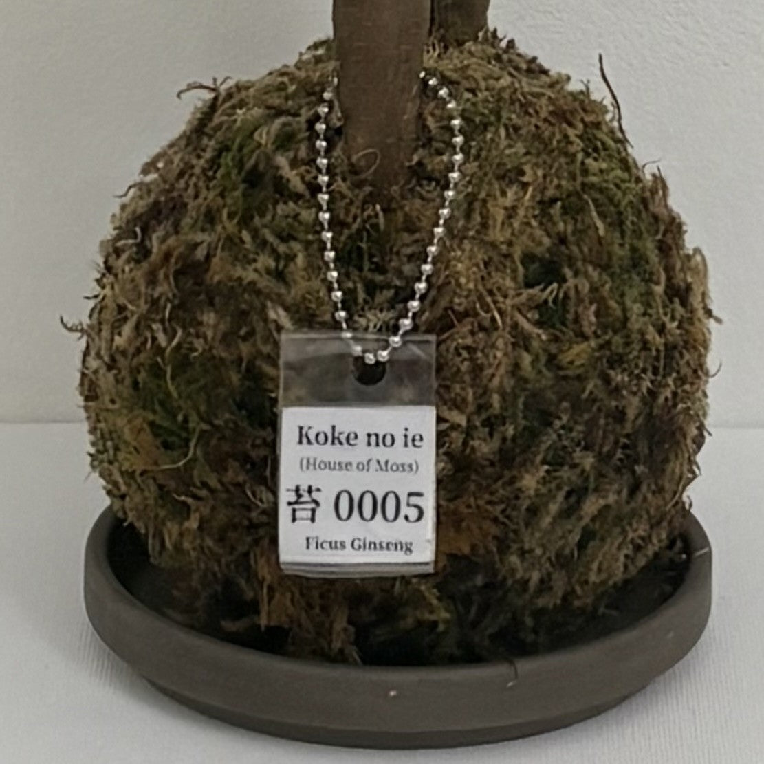 Koke no ie #0005