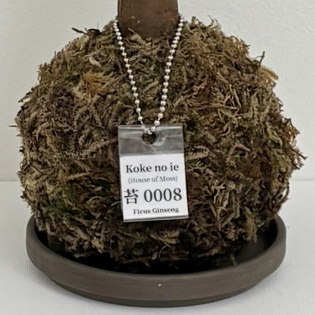 Koke no ie #0008