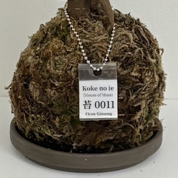 Koke no ie #0011