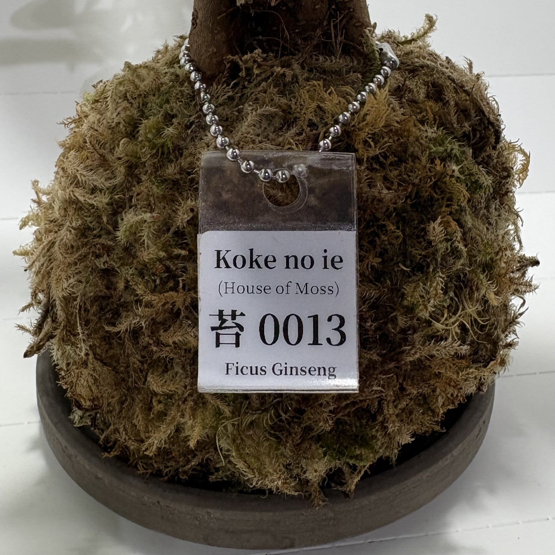 Koke no ie #0013